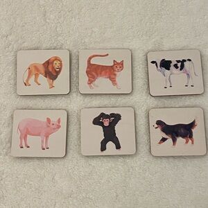 Lovevery Animal Replacement Wood Cards